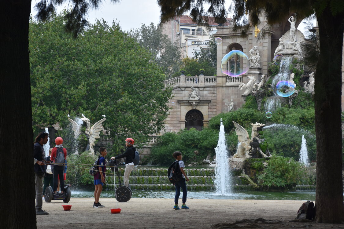 DSC_2356.JPG