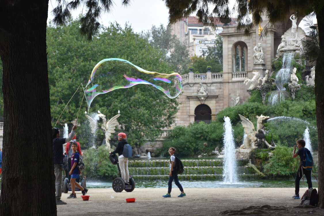DSC_2357.JPG