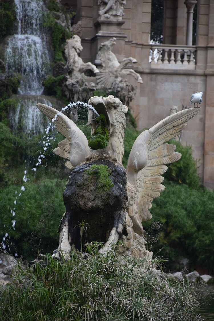 DSC_2366.JPG