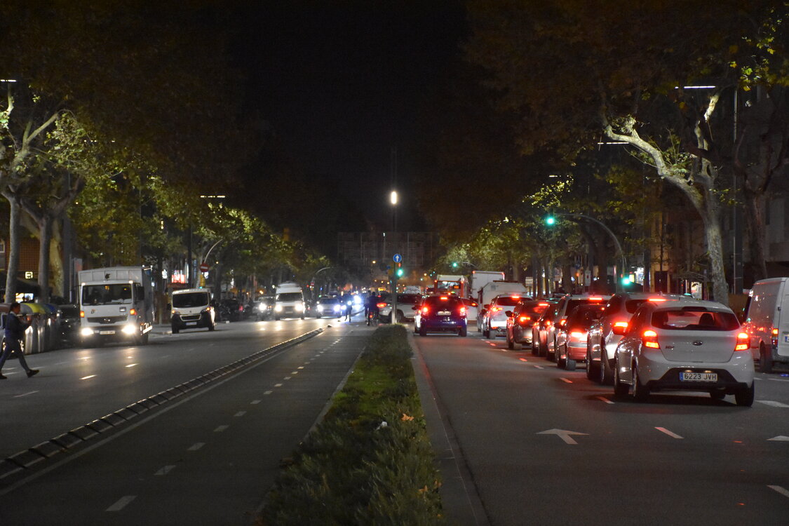 DSC_2420.JPG