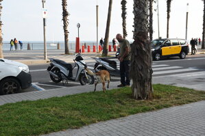 DSC_1775.JPG