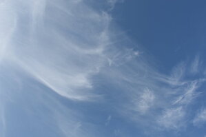 DSC_1783.JPG