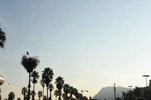 DSC_1795.JPG