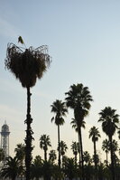 DSC_1798.JPG