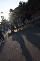 DSC_1803.JPG