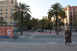 DSC_1807.JPG