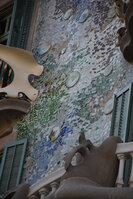 DSC_1917.JPG