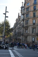 DSC_1924.JPG