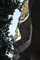 DSC_1955.JPG