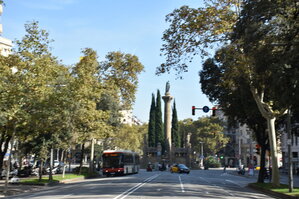 DSC_1959.JPG