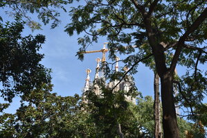 DSC_1976.JPG