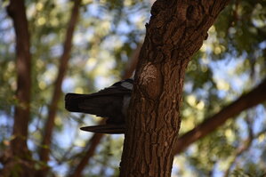 DSC_1982.JPG