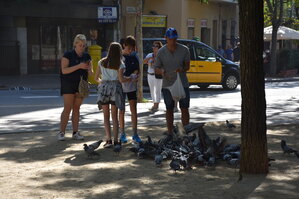 DSC_2012.JPG