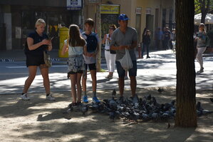 DSC_2013.JPG