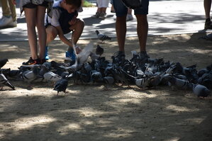 DSC_2014.JPG