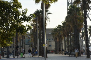 DSC_2085.JPG