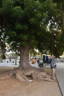 DSC_2096.JPG