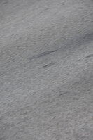 DSC_2114.JPG