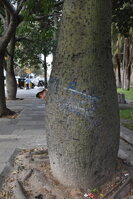 DSC_2122.JPG