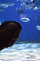 DSC_2174.JPG