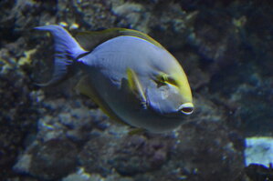 DSC_2178.JPG