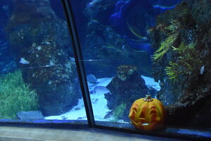 DSC_2216.JPG