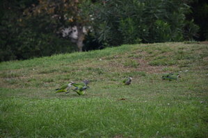 DSC_2283.JPG