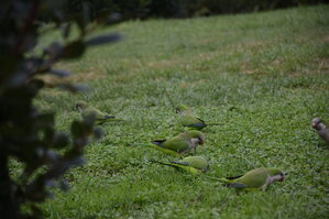 DSC_2289.JPG