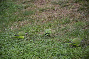 DSC_2292.JPG