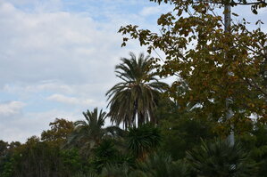 DSC_2294.JPG