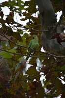 DSC_2326.JPG