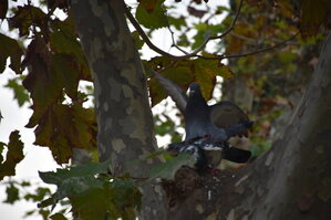 DSC_2331.JPG