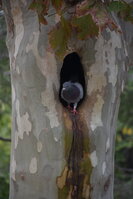 DSC_2335.JPG