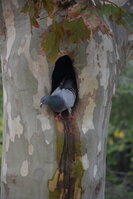 DSC_2337.JPG