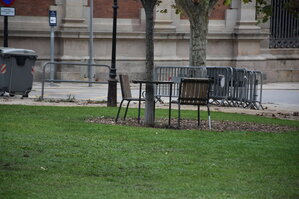 DSC_2345.JPG