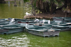 DSC_2346.JPG