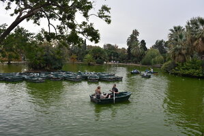 DSC_2347.JPG