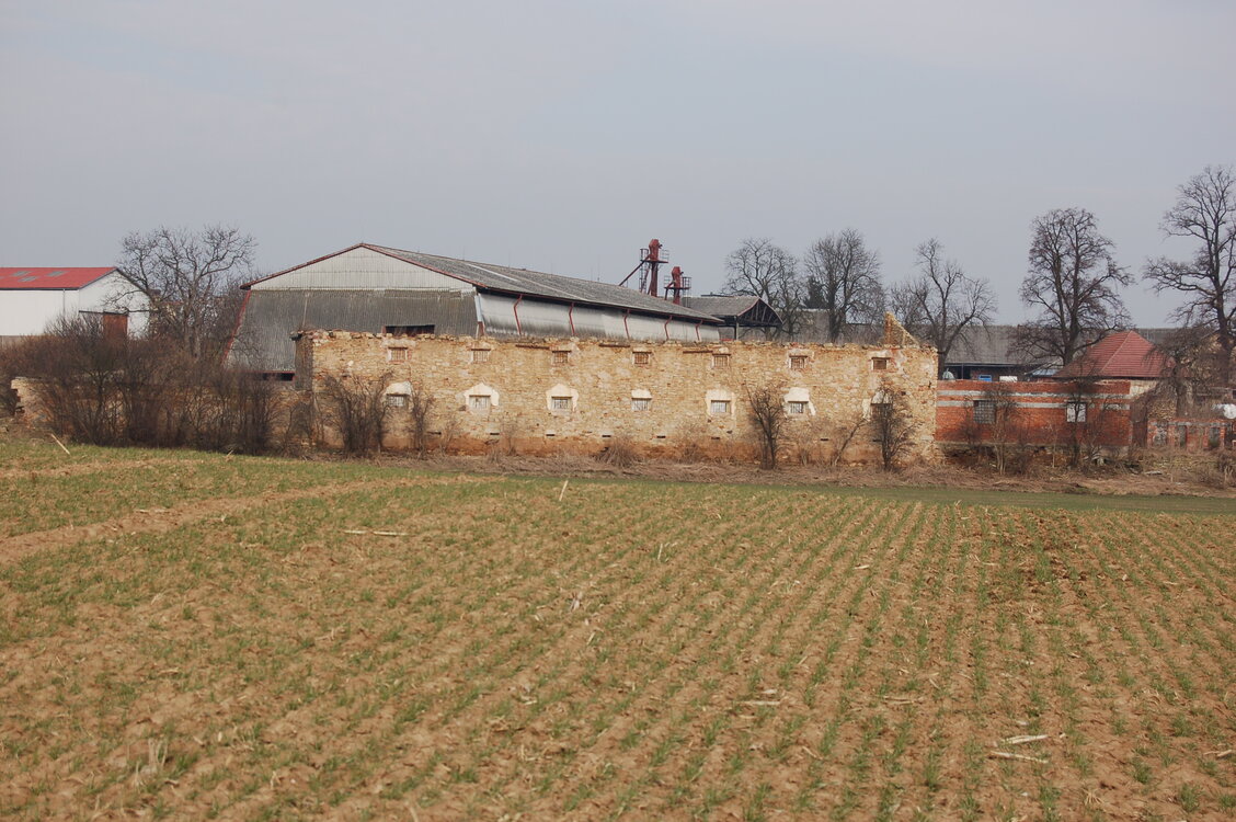 an1_012675.jpg