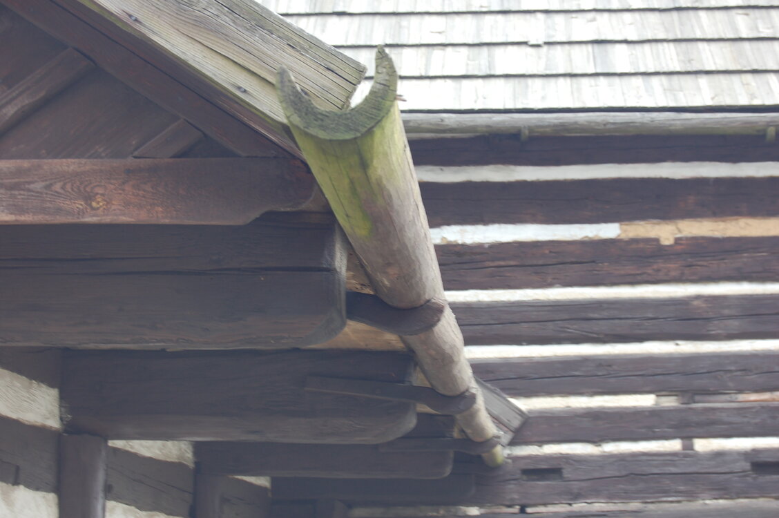 an1_012686.jpg