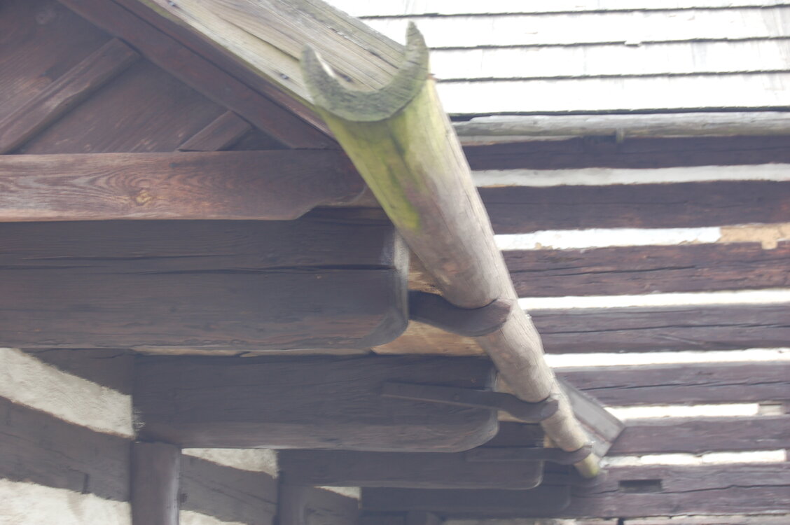 an1_012687.jpg