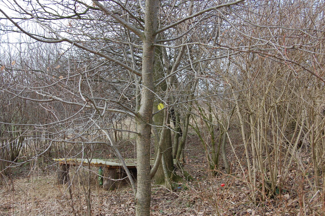 an1_012688.jpg