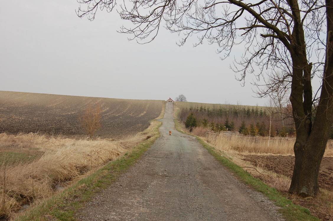 an1_012691.jpg