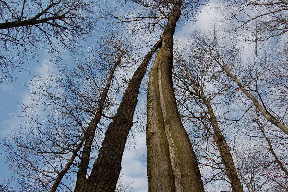 an1_012702.jpg