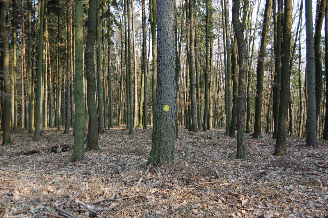an1_012703.jpg