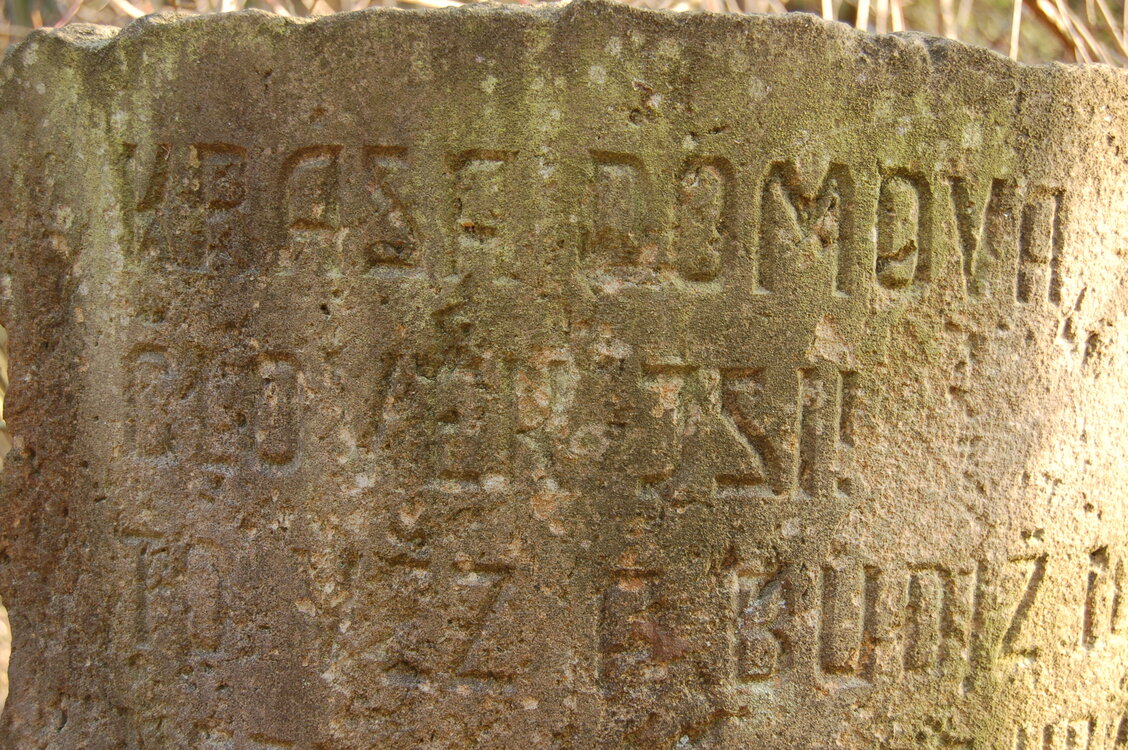 an1_012716.jpg