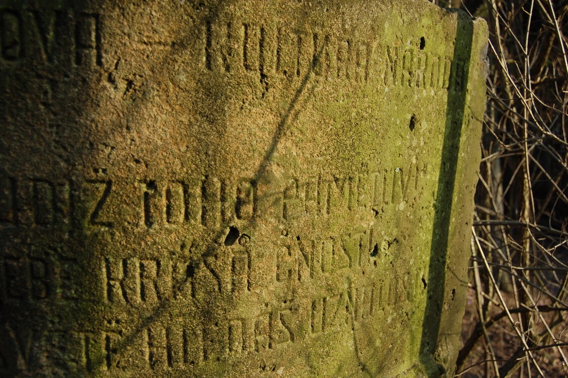 an1_012718.jpg