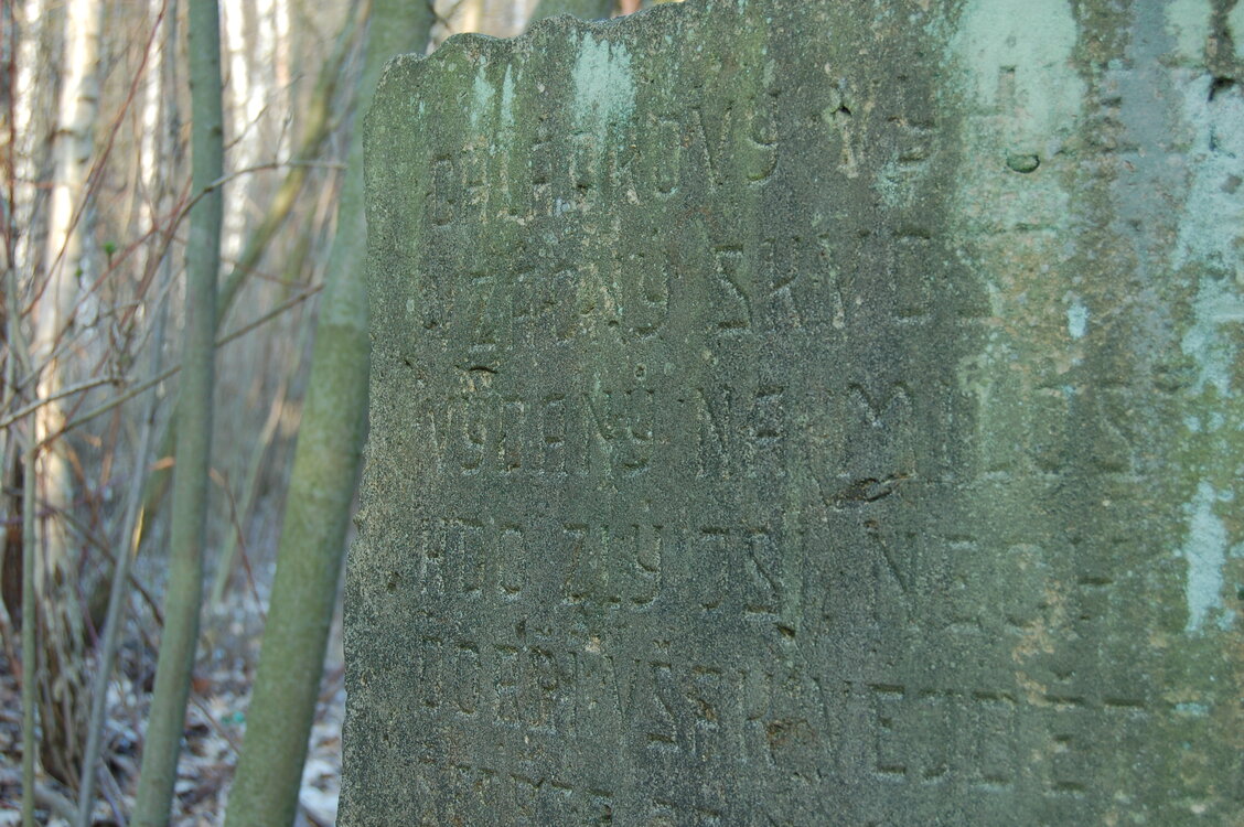 an1_012720.jpg