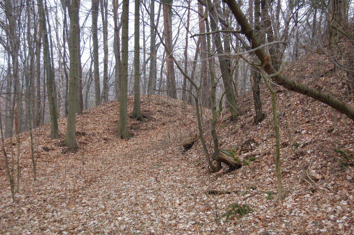 an1_012726.jpg