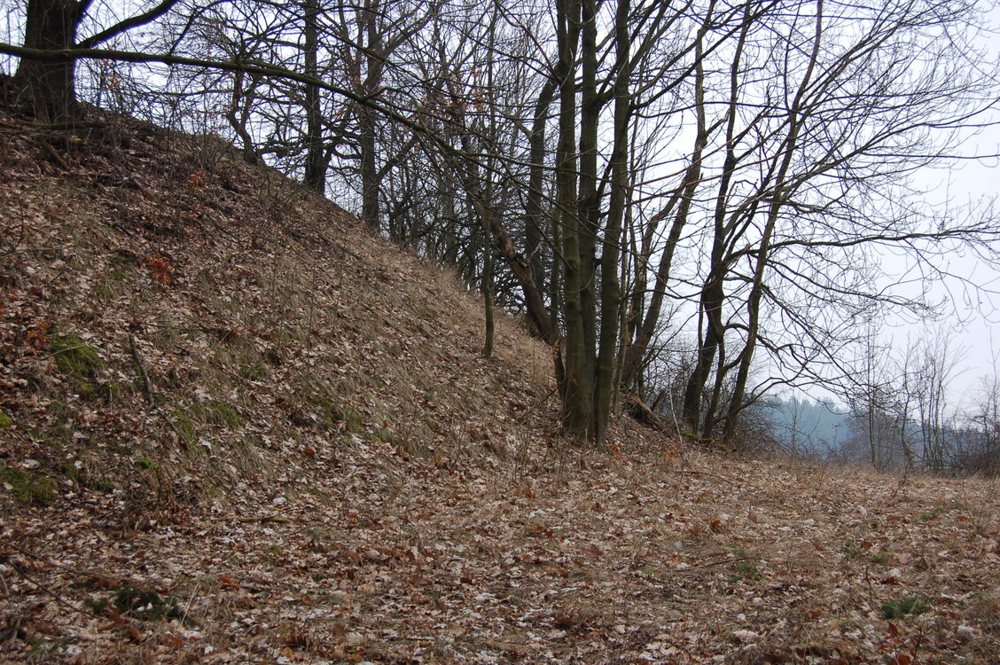 an1_012727.jpg