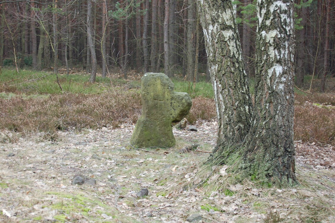 an1_012735.jpg